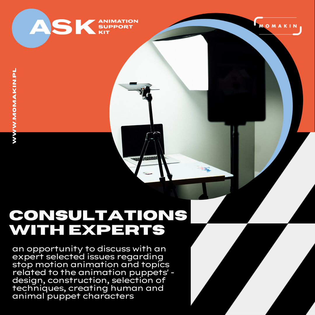 ASK Consultation